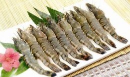 草虾养殖爆料方法视频